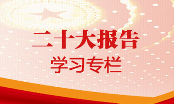 报告全文 要点 学习问答