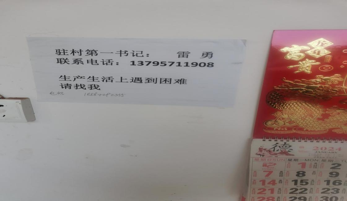 东部新区-1.png