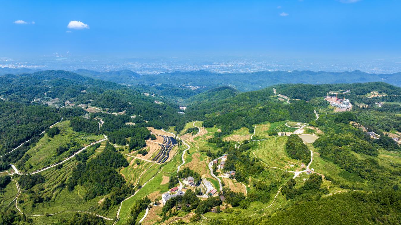 前锋区-1.png