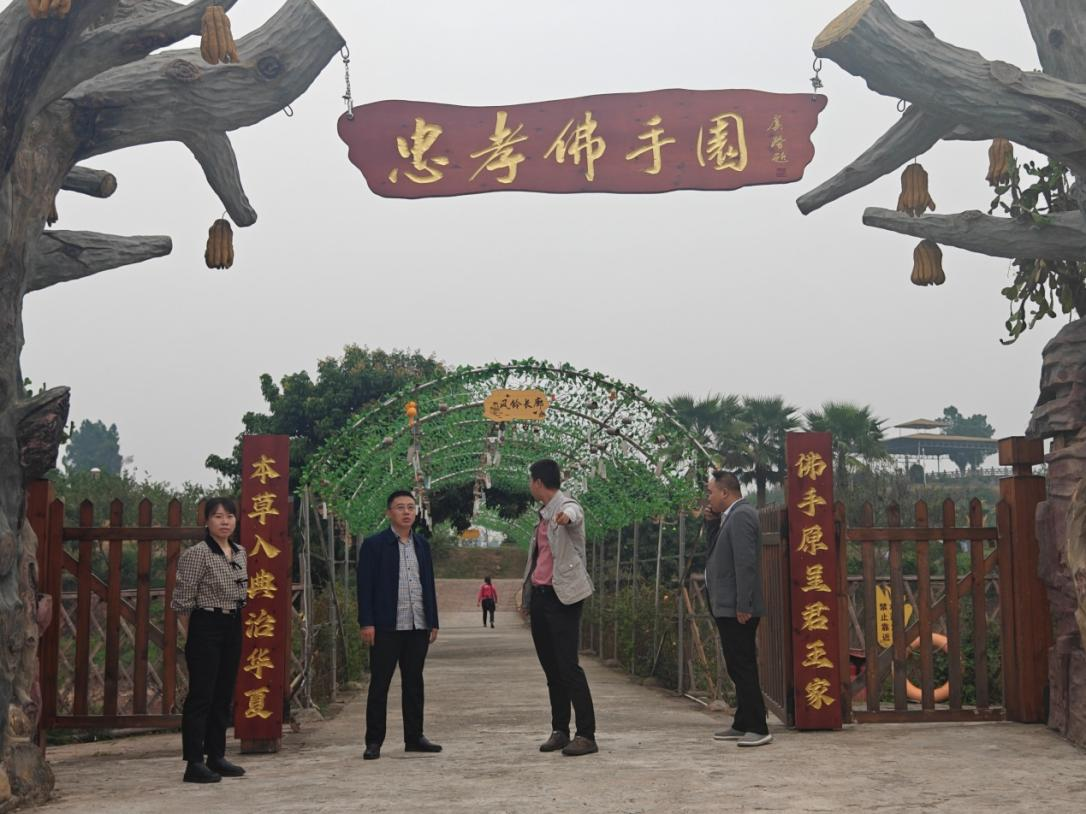 合江县-5.png