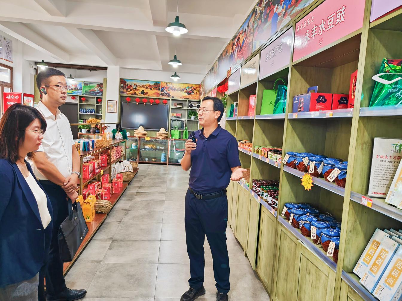 东坡区-2.png