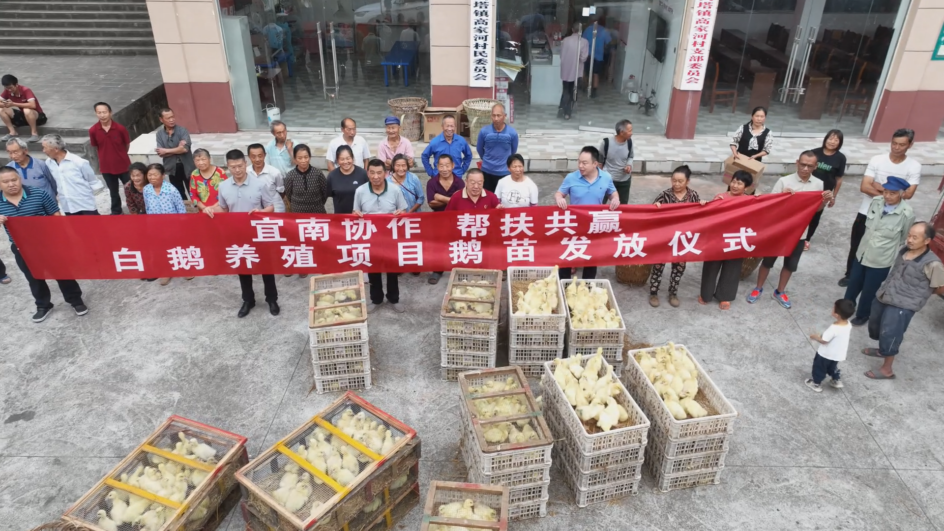 2024年6月26日，南江县高塔镇高家河村首批试点鹅苗发放仪式现场。.bmp