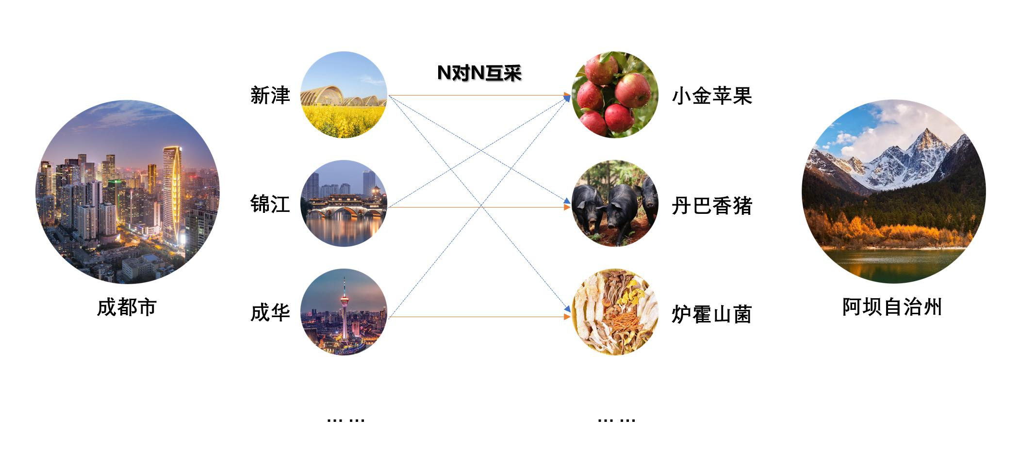 津金同心2.png