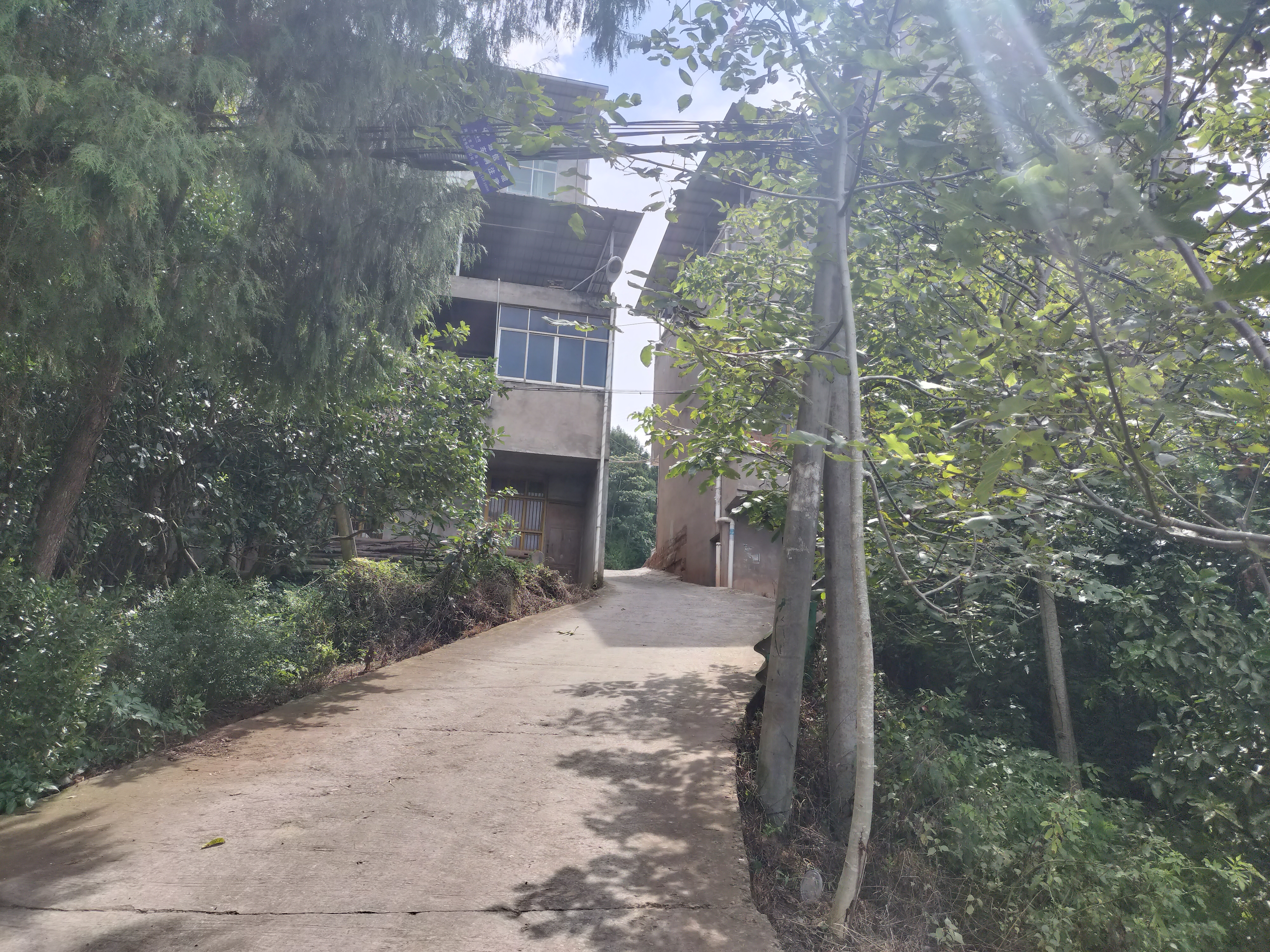 通村路口原貌3.jpg