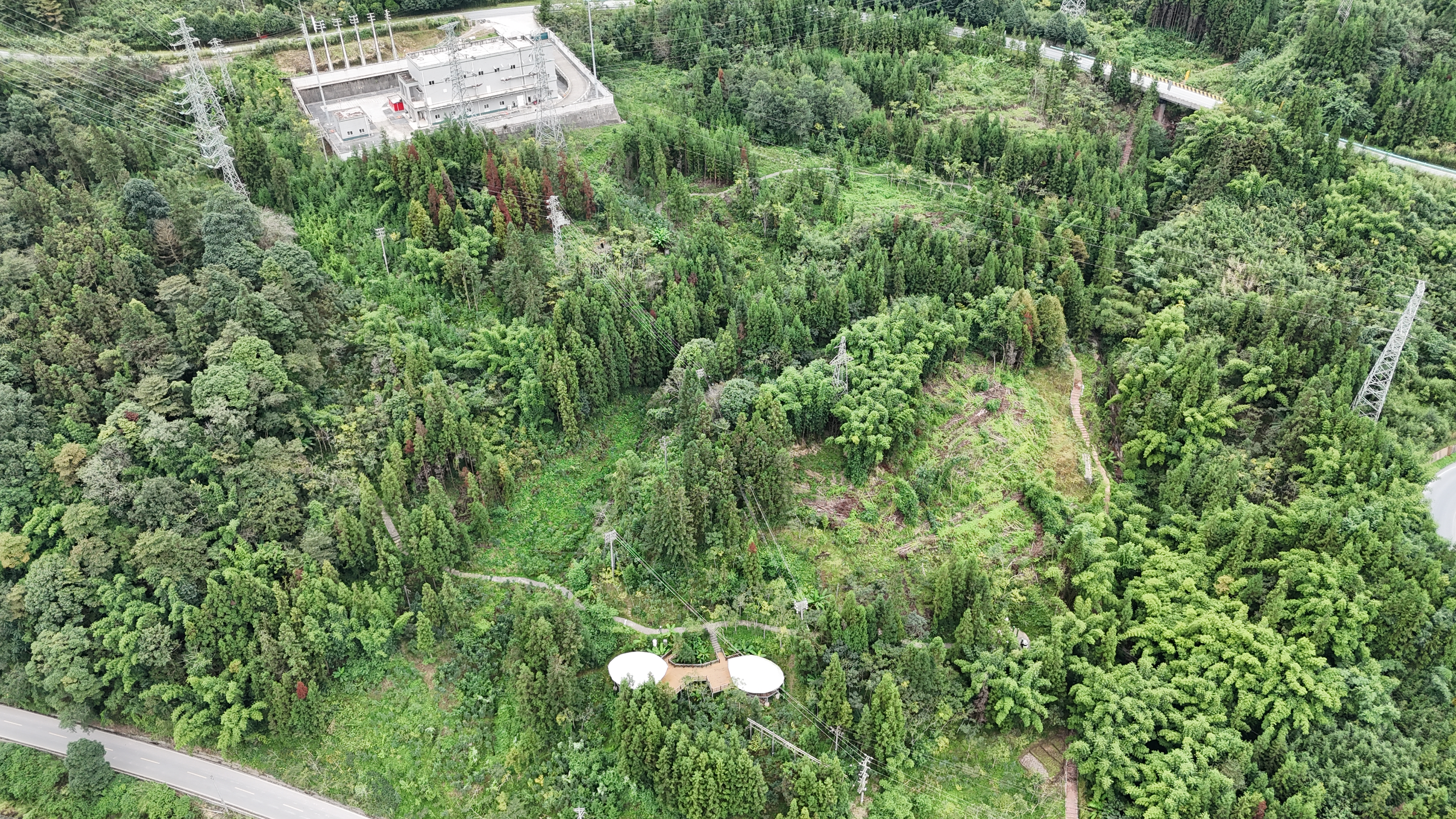 万年村方竹基地局部航拍.jpg