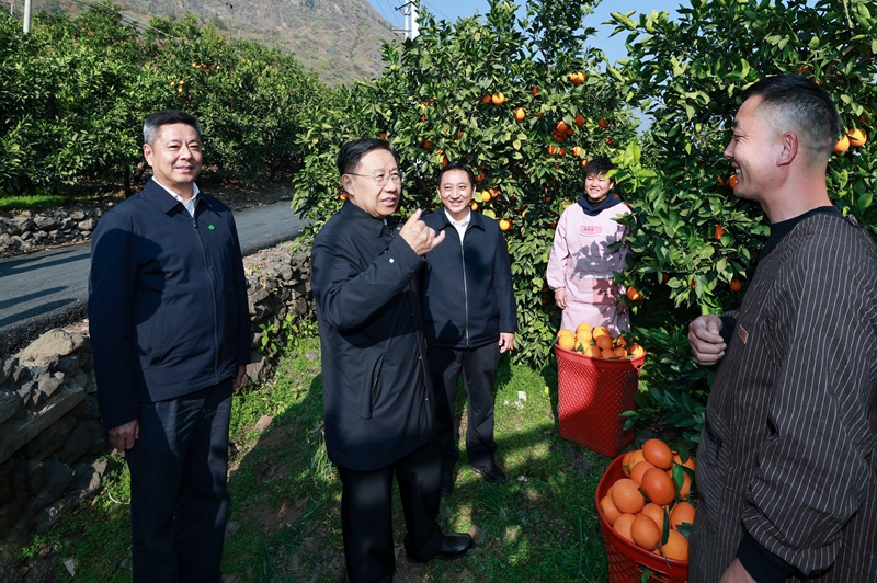王晓晖在凉山州调研时强调：更加注重在发...