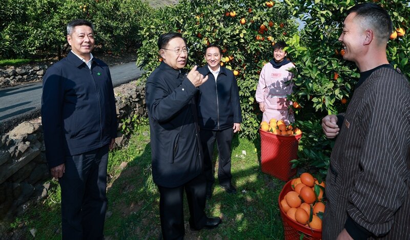 王晓晖在凉山州调研时强调：更加注重在发...